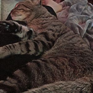 Meet your Posher, Rachael